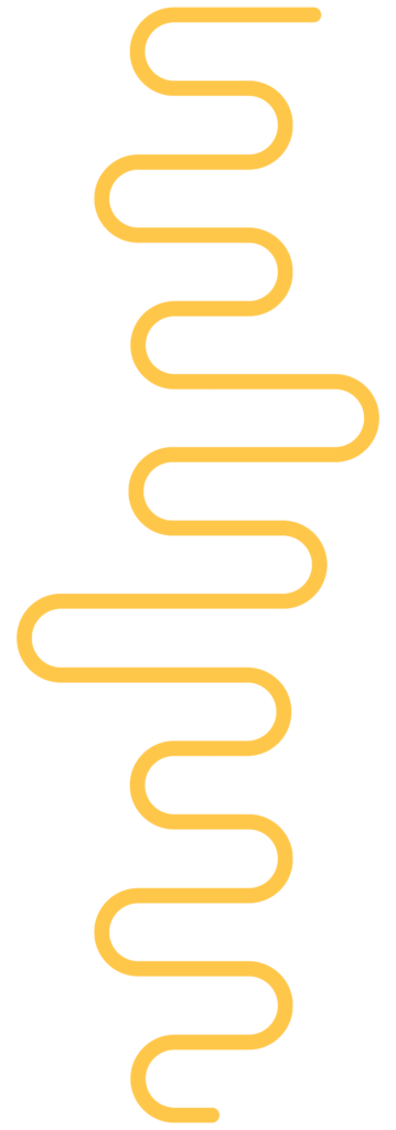 Wollybee Process About Wollybee